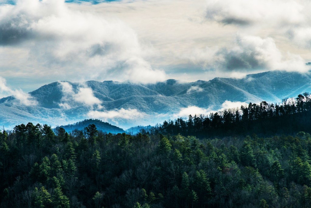 A panoramic view of misty smoky mountains surrounded by a dense forest under a cloudy sky.